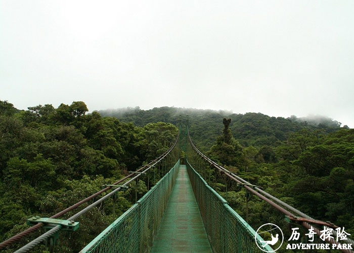 树顶步道器材报价树冠漫步大型公园游乐器材厂家树顶吊桥 