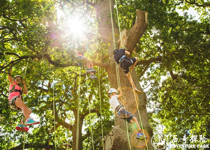 厂家设计安装树上拓展攀树空中闯关娱乐攀树森林探险公园